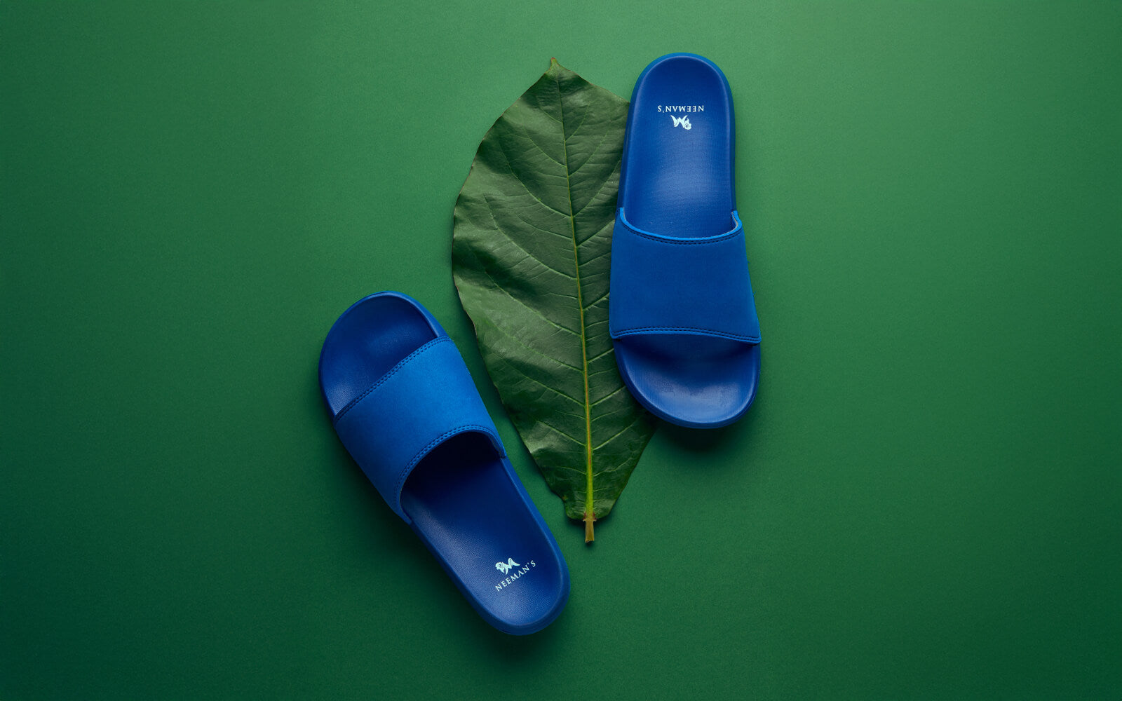 Eco Slides : Classic Blue